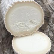 Goat Cheese