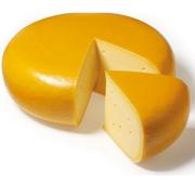Gouda